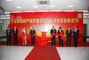 中國農(nóng)業(yè)科學院油料作物研究所如何高效選擇武漢稅務代理服務