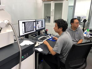 公共技術服務中心開展蔡司掃描電鏡培訓，提升技術服務水平